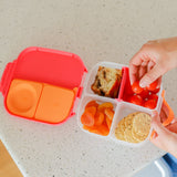 b.box Mini Lunchbox - Collaborations